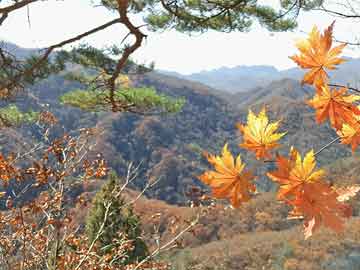 扎哈羅娃回應(yīng)烏無人機(jī)襲擊喀山，系報(bào)復(fù)行為，俄羅斯將采取必要措施維護(hù)國家安全